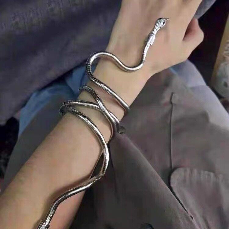 Distinctive Winding Snake Necklace European and American Ins Cold Style Niche Design Sense Hot Girl Dark Collar Female and Male Accessories