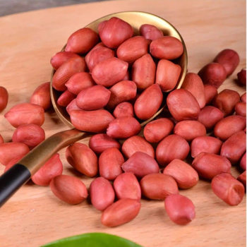 Peanuts 2025 Red-Skinned New Farm-Grown Fresh Four Red Shelled Small Kernels for Making Soy Milk