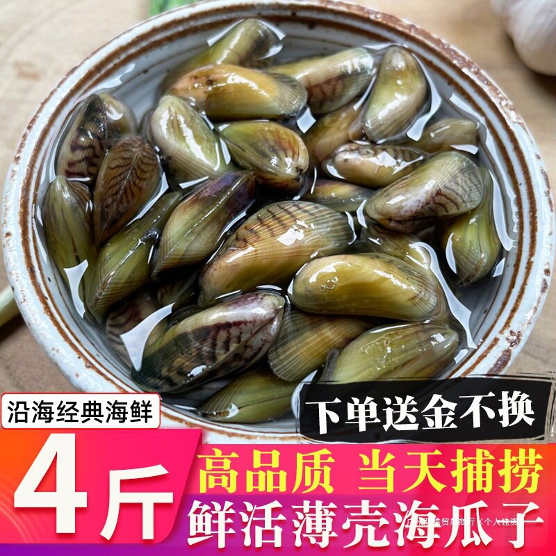 Free Shipping on Seafood, Aquatic Products, Sea Melon Seeds, Fresh Shellfish on the Same Day, Sf Sea-Caught Thin-Shelled Snails, White-Shelled Snails, Sea-Free