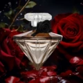 Warmkiss brilliant love women's 50ml