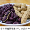 Black Peanuts, Selenium-Rich Black Peanuts, Fresh Sun-Dried Raw Sweet Peanuts, Black Purple-Skinned Peanuts, Original Flavor