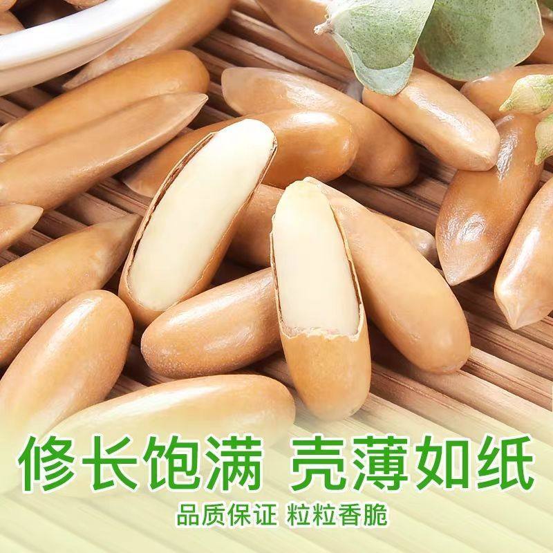 New Brazilian Pine Nuts 500g Extra Large Capsules Open Nuts Hand Peeled Long Capsules Thin Shell Wholesale 150g Including Cans