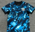 2627 paraguay away puma