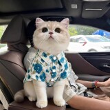Одежда для кошек, рубашка с цветочным принтом, весенне-летняя тонкая защита от летающих кукол, градиентная одежда для котенка, одежда для маленьких собак