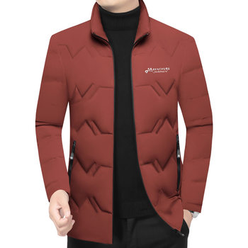 Men's Stand Collar down Jacket 2025 Winter New Thickened Warm Fashion Business Casual Lightweight Warm Coat Trend