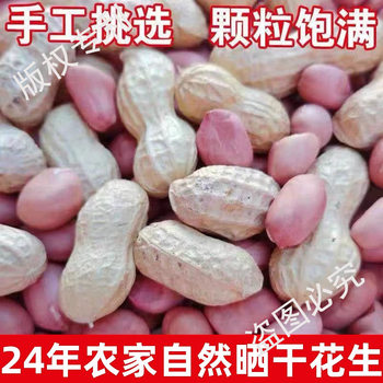 25-Year-Old Raw Peanuts in Shells 2.5kg New Dried Peanuts 1.5kg Fresh Peanuts Grown by Farmers Thin-Shell Peanut Seeds