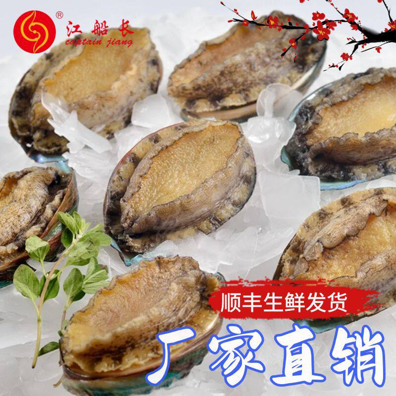Captain Jiang's Gutted Cooked Frozen Abalone with Teeth Removed and Substituted for Internal Organs 260g 8 Capsules Packed with Liquid Nitrogen to Lock in Freshness, Self-Sold by Fujian Manufacturer