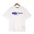 Purple White Spray