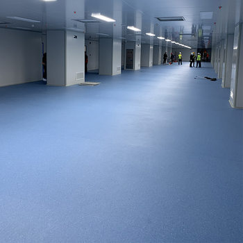 Pvc Plastic Floor Stickers Kindergarten Office Pet Hospital Same Quality Transparent Floor Mat Floor Leather 2mm 3mm