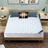Simmons Mattress Soft and Hard Dual-Use 20cm Thick 1.95m m Household Double Economical Coconut Palm Spring Mattress
