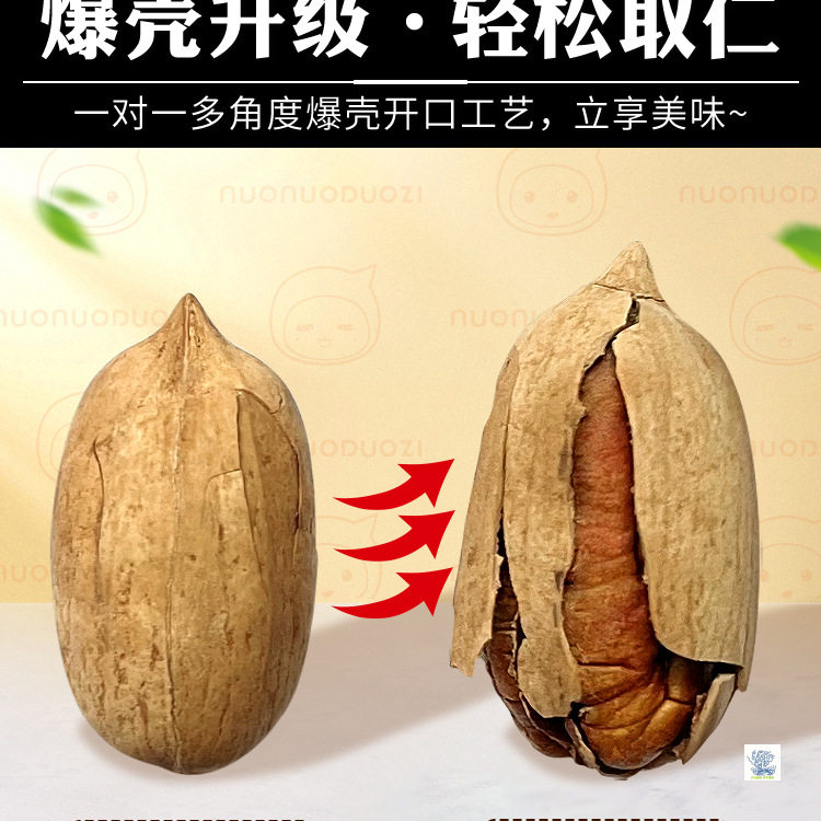 Pecan Official Flagship Store 2025 New Arrival Nuts Original Flavor Bulk Cream Pecans Large Particles