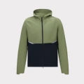 Taiga green