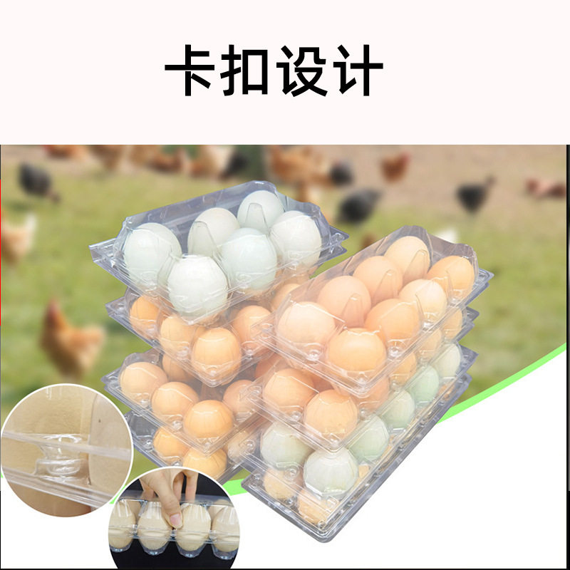 Factory Direct supply disposable plastic egg packing box duck egg tray transparent blister box soil egg tray
