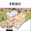 Factory Direct supply disposable plastic egg packing box duck egg tray transparent blister box soil egg tray