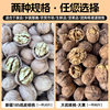 Walnut Wholesale Street Stall Exhibition Nut Snacks Snacks Souvenirs Dry Goods Food Xinjiang 185 Paper-Skinned Walnuts