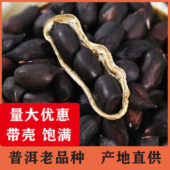 Yunnan selenium-rich black peanut Pu'er with Shell dried black peanut purple skin peanut new goods old variety sweet flavor wholesale