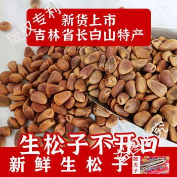 Large Whole Raw Pine Nuts from Northeast, New Wild Fresh Original Flavor, Large Whole Unopened Raw Pine Nuts, Unprocessed Bulk
