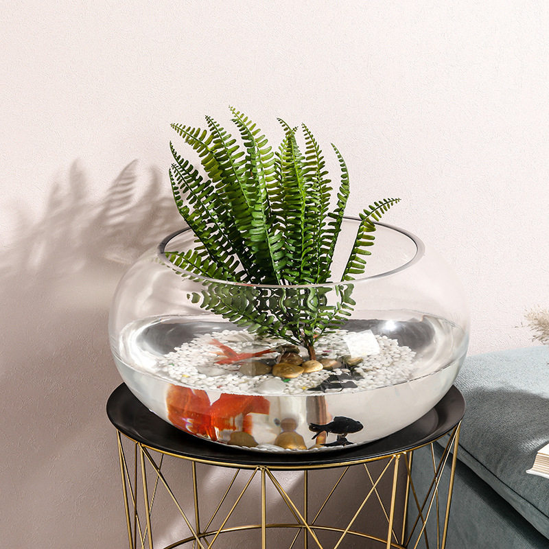 Office fish tank glass turtle cylinder drum cylinder transparent hydroponic plant copper grass green radish living room desktop round