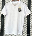 2627 santos home court