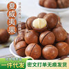 Wholesale of Large Granular Macadamia Nuts with Creamy Flavor in Bags, Hand-Peeled Thin-Skinned Walnut Macadamia Nuts