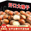 Freshly Roasted Whole Hazelnuts from Tieling, Northeast China, No Additives, Original Flavor, Suitable for Pregnant Women as a Snack