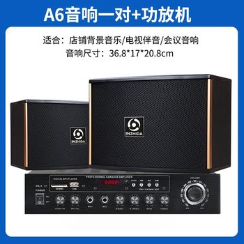 Baisheng 6.5inch Home Ktv Audio Amplifier, Professional Conference Classroom High-Power Engineering Speaker Available in Neutral