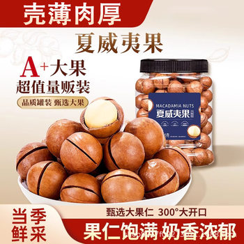 New Arrival of Macadamia Nuts with Creamy Flavor, Large Nuts with Thin Skin, Snack 250g, Walnut Substitute, Hand-Peeled Macadamia Nuts