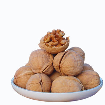 New Hand-Peeled Original Paper-Skinned Walnuts from Xinjiang 185 Thin-Skinned Raw Walnuts Farm-Produced Nuts and Dry Goods Wholesale