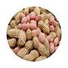 Fresh Seasonal Peanuts, Dried by the Sun, Farm-Produced and Self-Grown, Available in Bulk for Wholesale