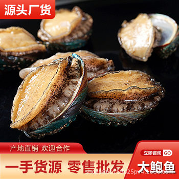 Fresh Large Abalone, More Than Ten Heads, Quick-Frozen, Extra-Large, Super-Large Seafood, Shellfish, Aquatic Products, Nourishing Ingredients, Wholesale from Guangdong