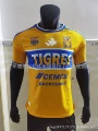 26 tigers yellow