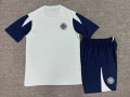 2526 short sleeve inter milan light gray