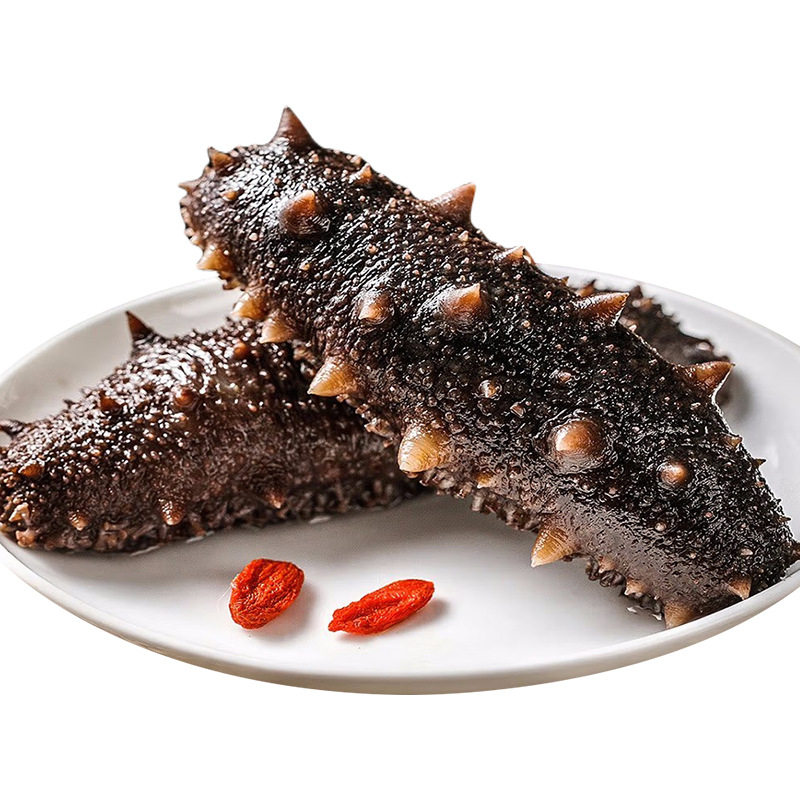 Dalian Wild Fresh Sea Cucumber Ready-To-Eat Sea Cucumber Fresh Liaoning Sea Cucumber Sea Cucumber Single Gift Box Instant Special Price