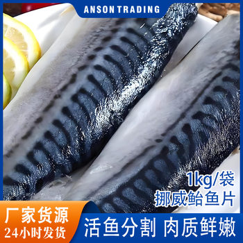 Norwegian Mackerel Fresh Mackerel Fillets Semi-Finished Japanese-Style Salt-Grilled Frozen Mackerel Bonito Tuna Wholesale Frozen