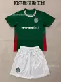 26-27 palmeiras home game