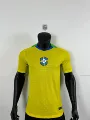 2025 brazil home kit