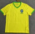 2324 yellow brazil home