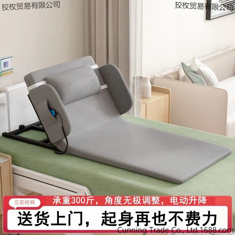 Electric Stand up Assist