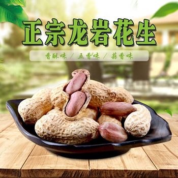 Longyan Peanuts, White-Dried Five-Spice Garlic, Wet Roasted Peanut Nuts, New Year's Goods, Shelled Peanuts and Snacks, Drop Shipping