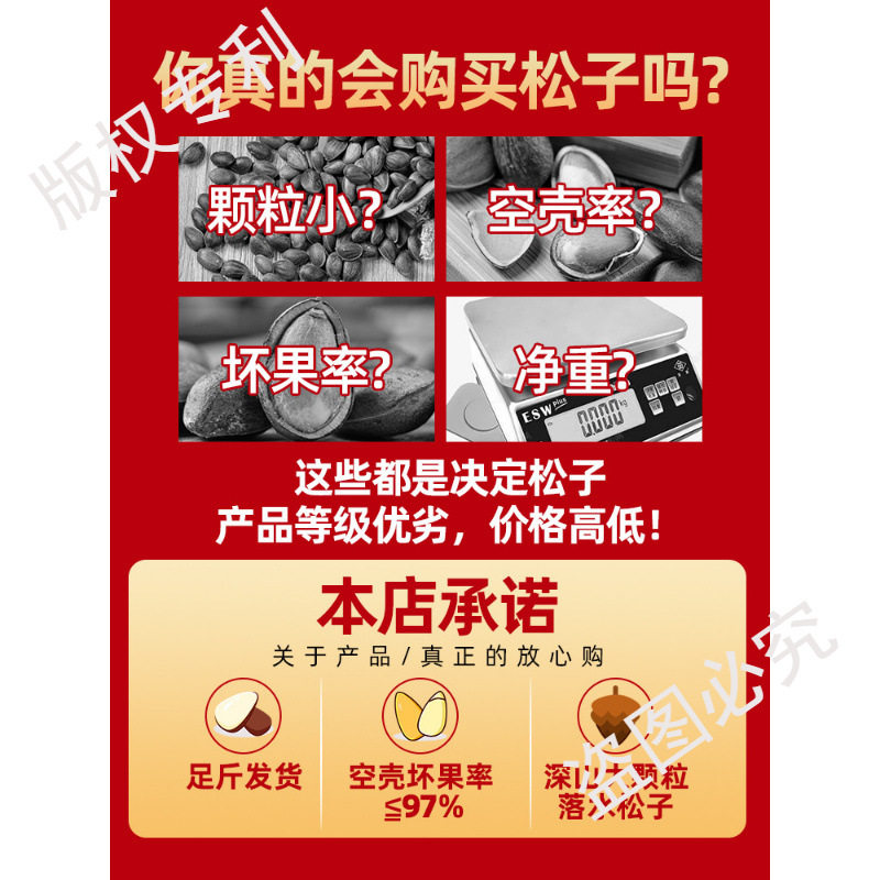 Yunnan Raw Pine Nuts in Bulk Large Particles 2024 Fresh New Goods for Pregnant Women Hand-Peeled Non-Northeastern Open Pine Nuts