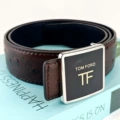 Silver buckle brown belt