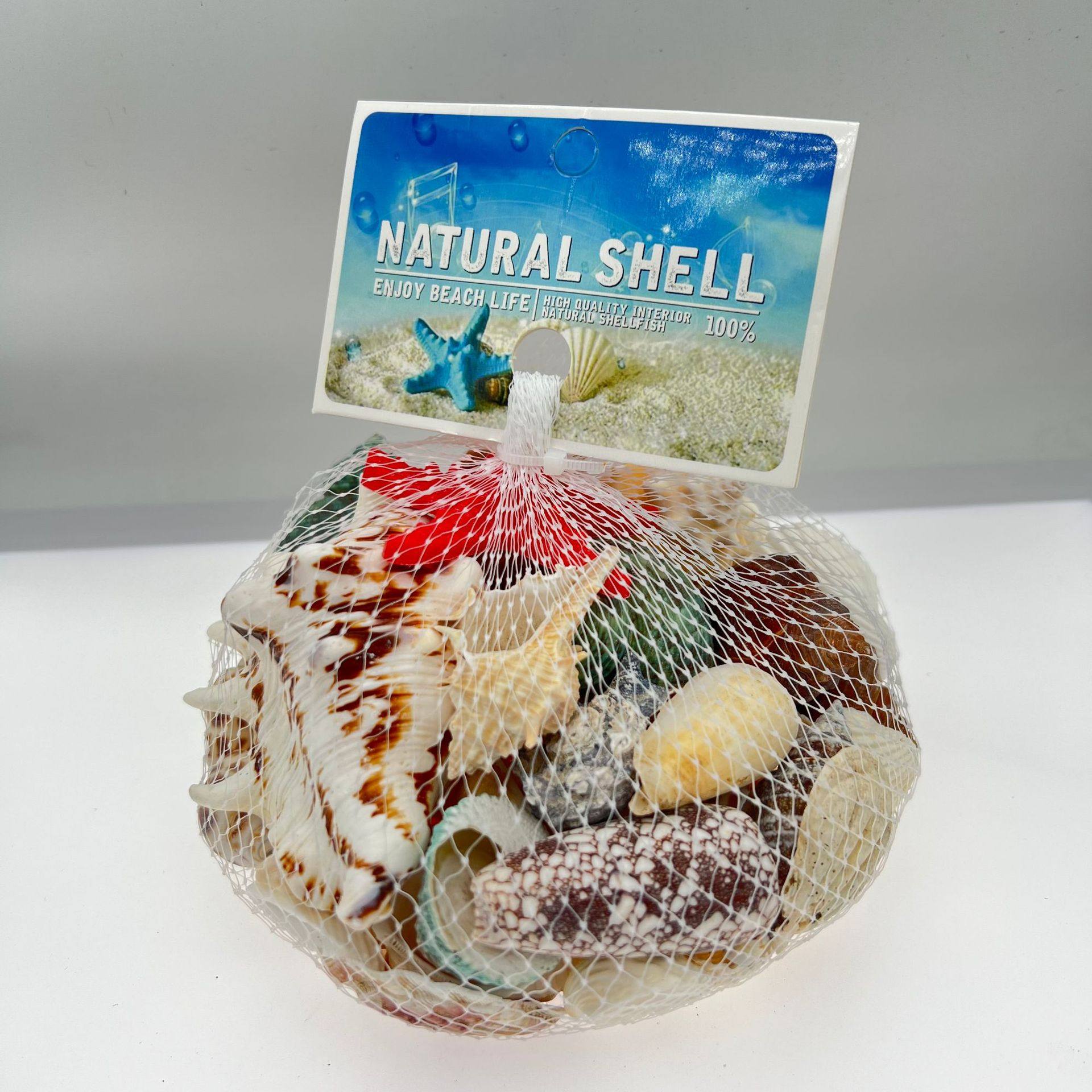 Study Natural Shell Conch Starfish Fish Tank Landscaping Decoration Shell Conch Wholesale Wind Chime DIY Crafts