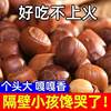 Wholesale of 25 New Hazelnuts from Northeast China, Raw or Roasted, Fresh Nuts, Roasted Goods, New Year's Goods