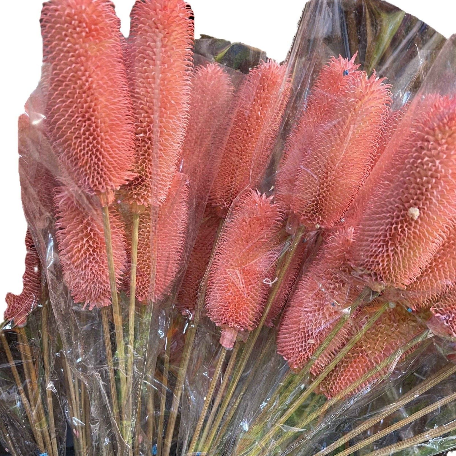 Dried Fruit Flower Arrangement Decorative Ornament Soft Decoration Longevity Fruit Thistle Fruit Home Living Room Photo Prop Artificial Flower