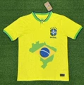 22brazil home-map