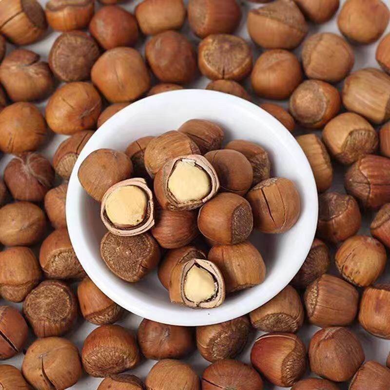 500g of Crispy Hazelnuts with Thin Skins, Original Flavor, Northeast Specialty, Roasted and Hand-Patted Northeastern Hazelnut Nut Snacks