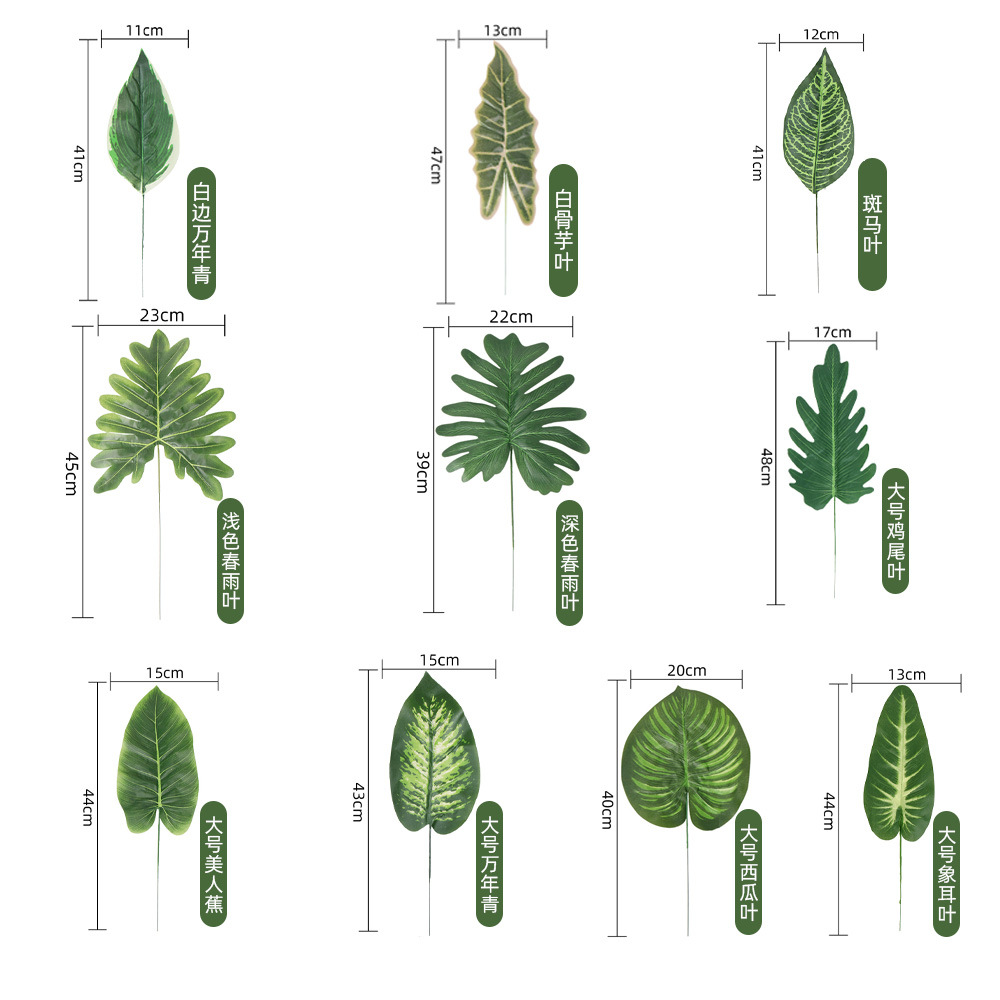 仿真人造植物叶子 单片绿叶春雨叶美人蕉 北欧家居风插花装饰配材