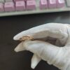 New Cross-Border Exclusive European and American Style Single Diamond Plain Band Smooth Ring for Women, Trendy and Adjustable Flexible Ring