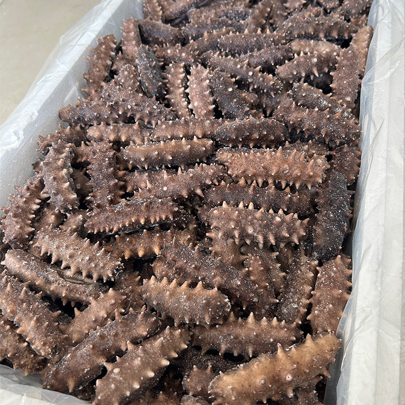 Factory Wholesale Shandong Sea Cucumber Fresh Sea Cucumber Sea Cucumber Ready-To-Eat Sea Cucumber Hotel Ingredients Commercial