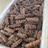 Factory Wholesale Shandong Sea Cucumber Fresh Sea Cucumber Sea Cucumber Ready-To-Eat Sea Cucumber Hotel Ingredients Commercial